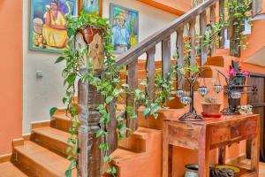 ImagenComplejo Los Veneros 5