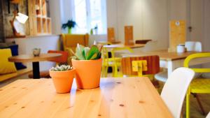 ImagenIdeas Peregrinas 4