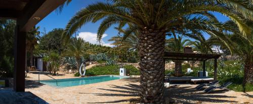 ImagenLa Almendra y El Gitano 2