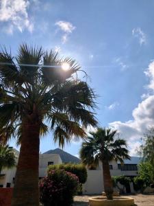 ImagenApartamento El Sotillo E23 4