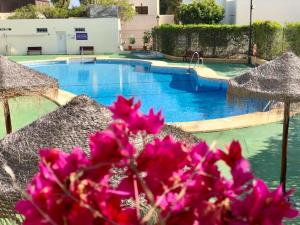 ImagenApartamento El Sotillo E23 5