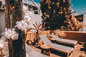 ImagenThe Monkey Room 6