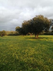 ImagenALBERGUE TURÍSTICO DE CORNALVO 4