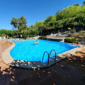 ImagenCamping xativa 3