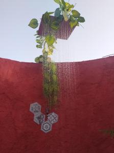 ImagenCasa La Colina Mandarina I 3