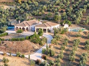 ImagenEl Tempranillo 2 5