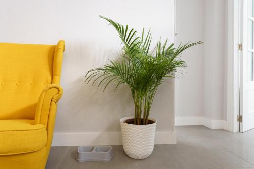 ImagenApartamentos Circulo De Artistas 1