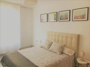 ImagenAyla Camino de Santiago 4