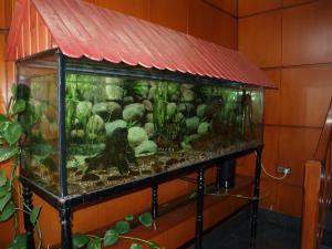 ImagenHotel Francisco Javier 4