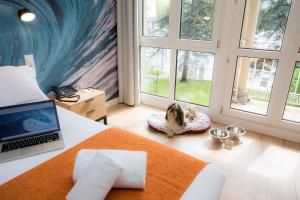 ImagenCasual de las Olas San Sebastián 5