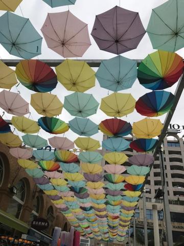 Marina D Vacacionesimagen principal