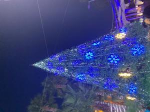 ImagenMarina D Vacaciones 3