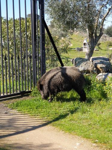 ImagenARHostal antigüo Huésped del Sevillano 1