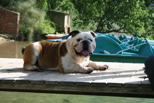 ImagenHotel Rural Albamanjon 1