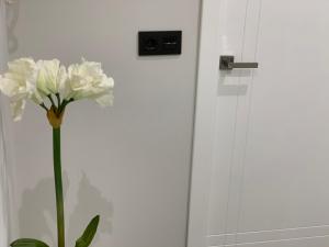 ImagenOKtheway Magnolia 4