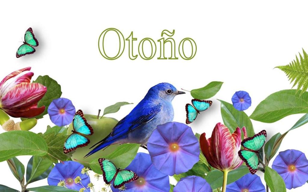 Slow House y La cabaña de Miss Slowerimagen principal