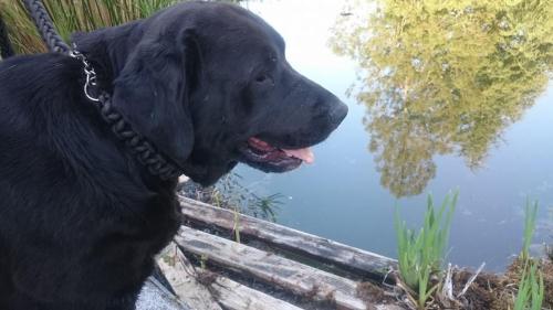 ImagenSlow House y La cabaña de Miss Slower 2