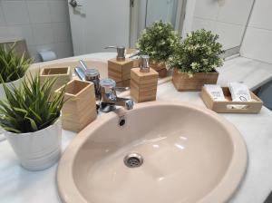 ImagenCatedral Centro Histórico 5