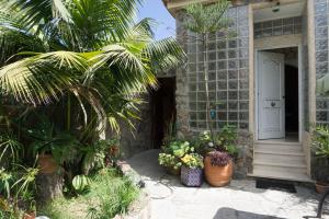 ImagenCasa El Drago 5