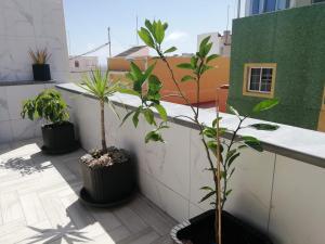 ImagenGuest house San Roque 4