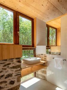 ImagenAbeiro da loba 3