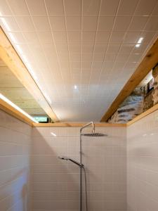 ImagenAbeiro da loba 6