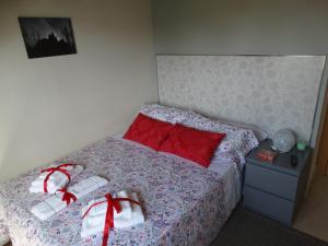 ImagenLas Cigüeñas de San Cristóbal 4