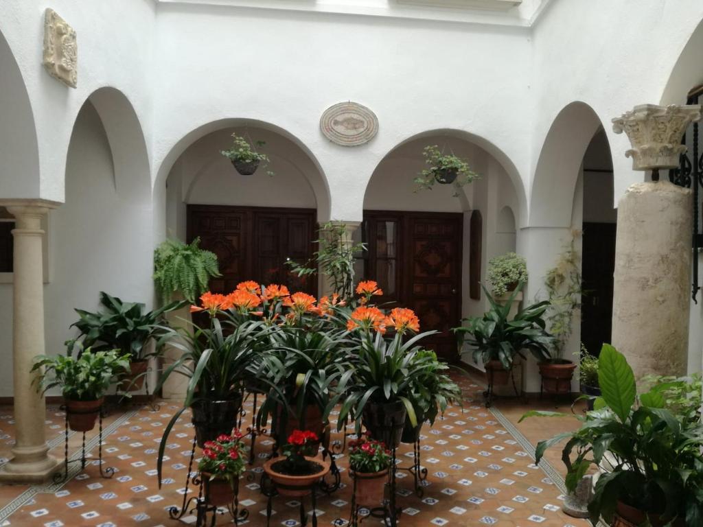 Apartamentos Torre de la Mezquitaimagen principal