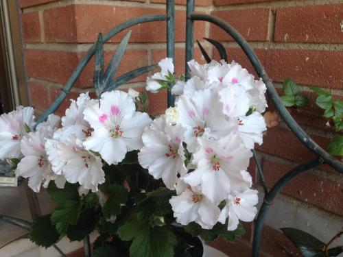 ImagenHostal Alhambra Tarragona 1