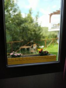 ImagenCentro de Naturaleza Cañada Verde 4