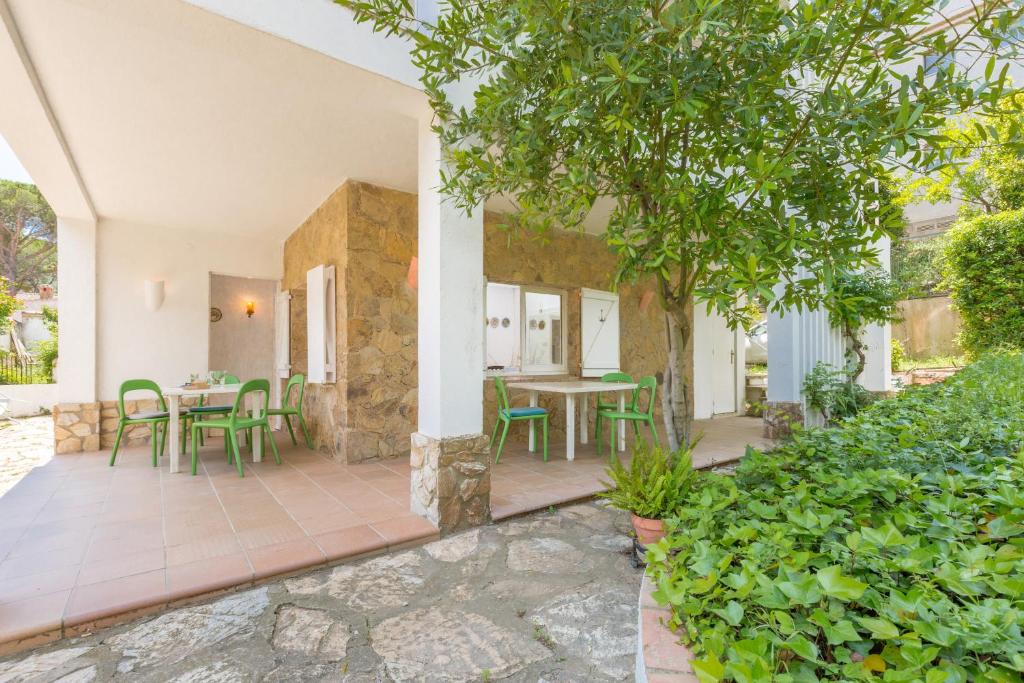 Pandora Plantaimagen principal