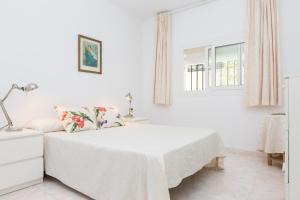 ImagenPandora Planta 3