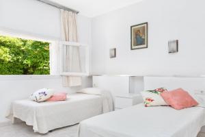 ImagenPandora Planta 4