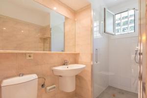 ImagenPandora Planta 6