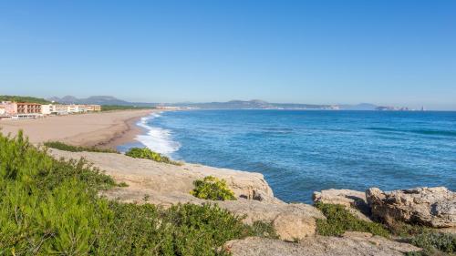 ImagenApartment Open Pals 2