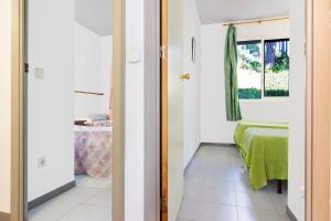 ImagenApartment Open Pals 5