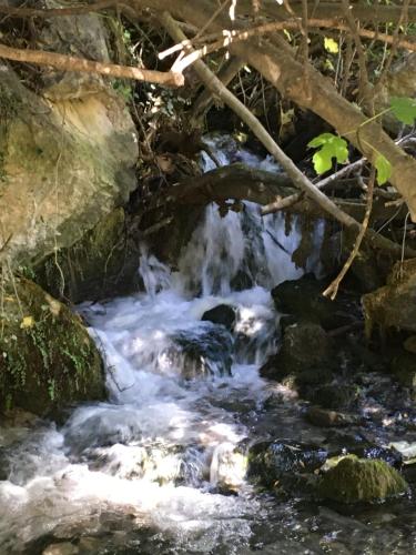 ImagenAPAR. SIERRAGUADALQUIVIR 1