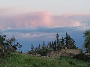 ImagenCentro de Naturaleza Cañada Verde 7