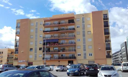 ImagenCENTRICO LABRADORES 15 1