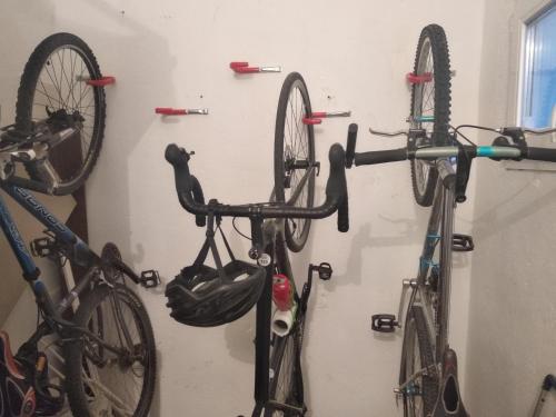 ImagenCan Cocollona 2