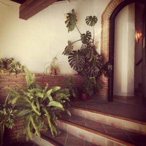 ImagenCasa Lareymora 8