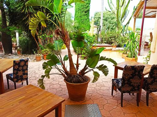 ImagenPalacio Sant Salvador 1