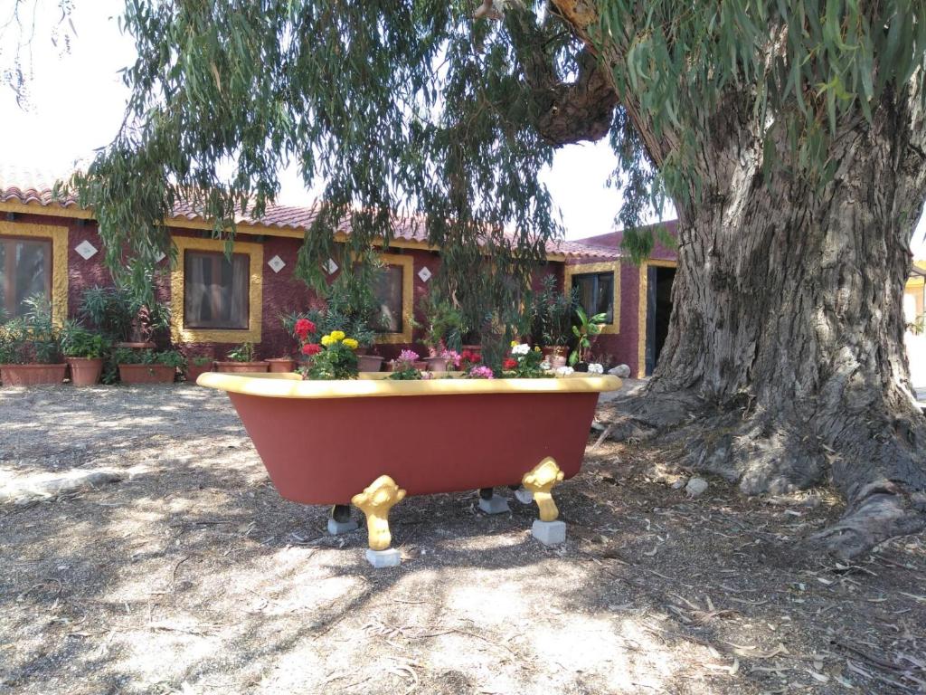 Casa del Procuradorimagen principal