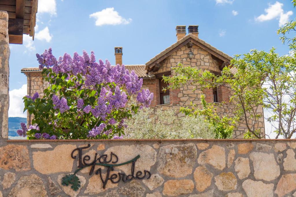 Tejas Verdesimagen principal