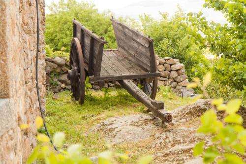 ImagenTejas Verdes 1