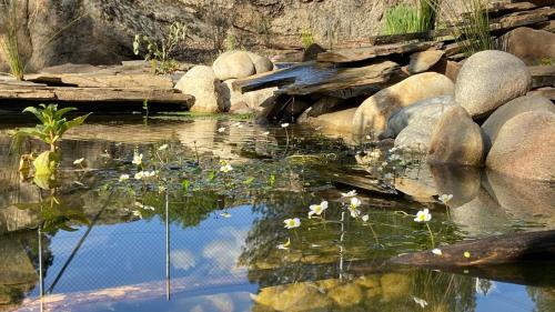 ImagenHotel Rural El Arca de Noé 1