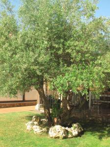 Imagencasa rio alberche y el cortijo de gredos 5