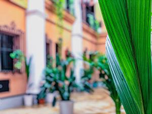 ImagenAlojamiento Rural Flamingo 4