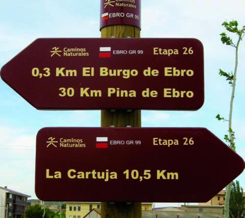 ImagenDos Torres Aragorn 1