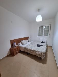 ImagenDos Torres Aragorn 7